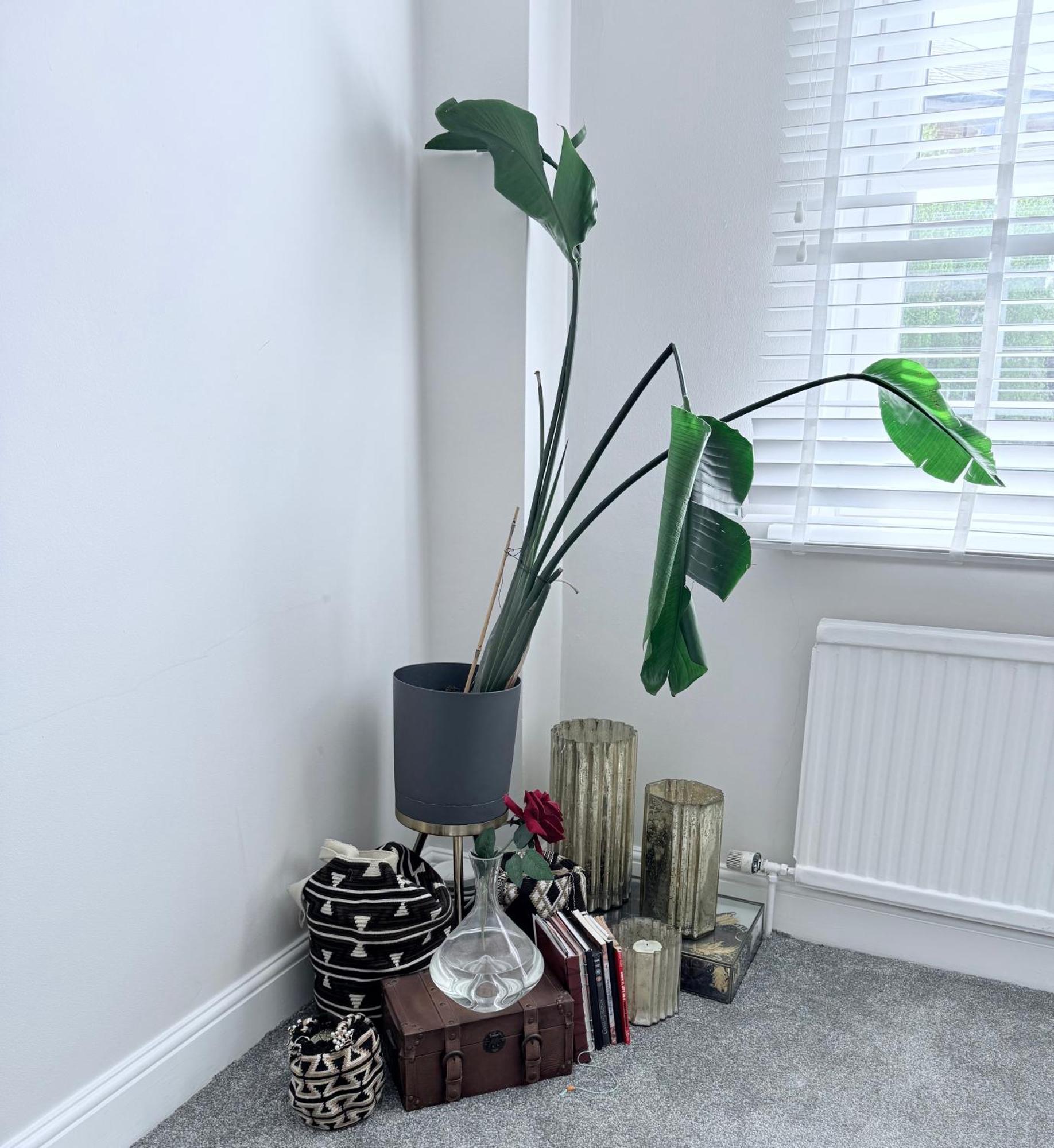 Bright And Modern Flat Near Portobello Road And The Canal لندن المظهر الخارجي الصورة